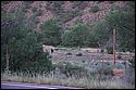 DSC_3654.jpg