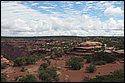 DSC_3689.jpg