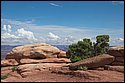 DSC_3702.jpg