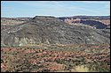 DSC_3869.jpg