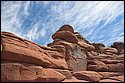 DSC_3910.jpg