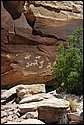 DSC_3923.JPG