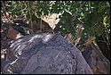 DSC_3926.JPG