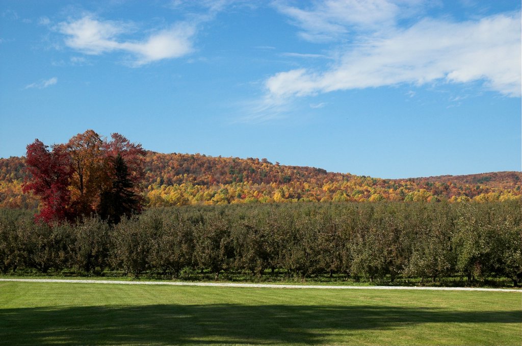 DSC_4232.jpg