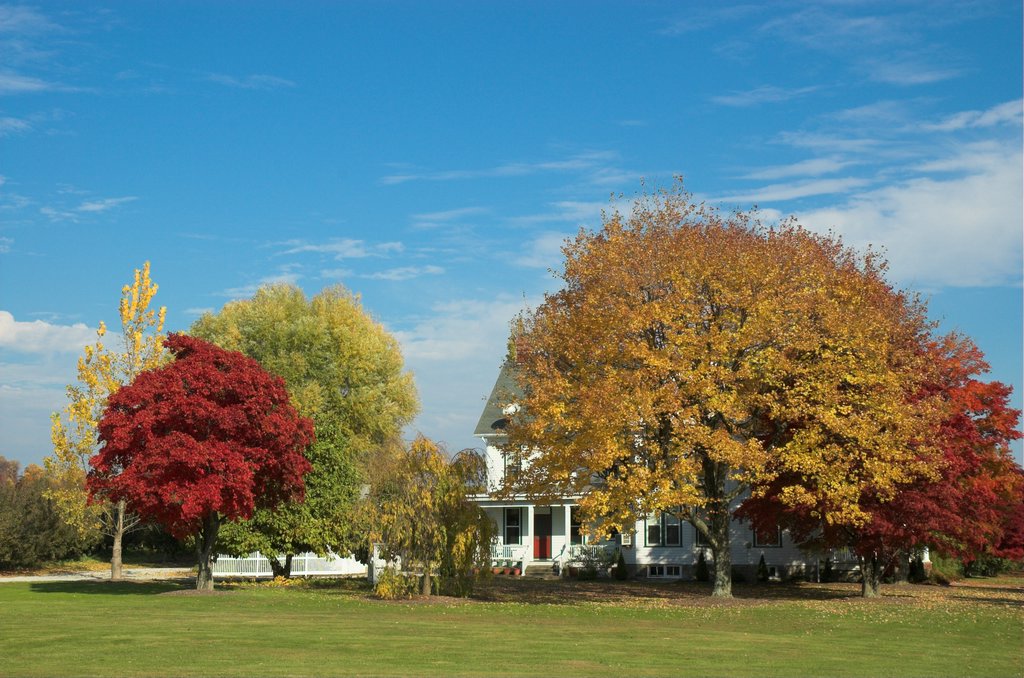 DSC_4234.jpg
