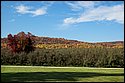 DSC_4232.jpg