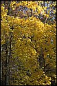 DSC_4241.jpg
