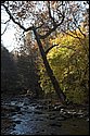 DSC_4242.jpg
