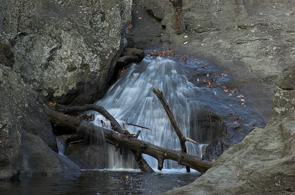 DSC_4253.jpg