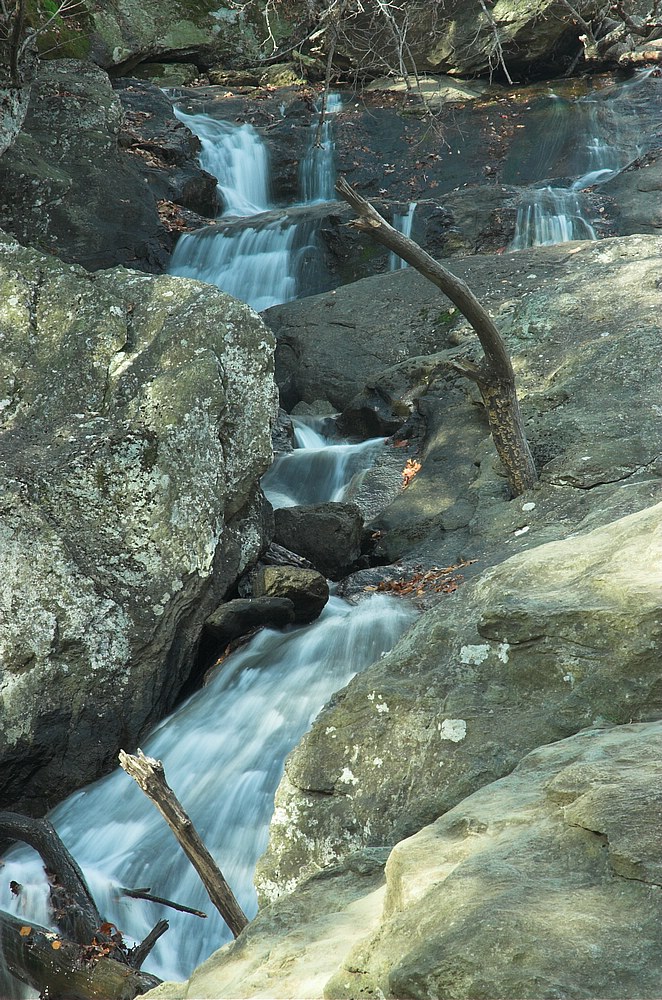 DSC_4265.jpg