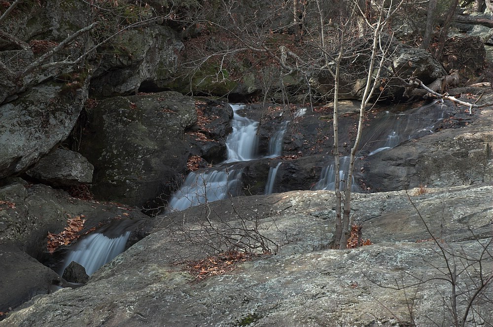DSC_4271.jpg