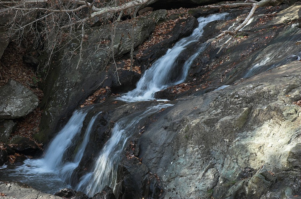 DSC_4287.jpg