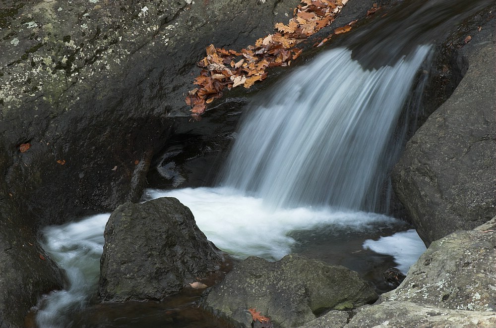 DSC_4305.jpg