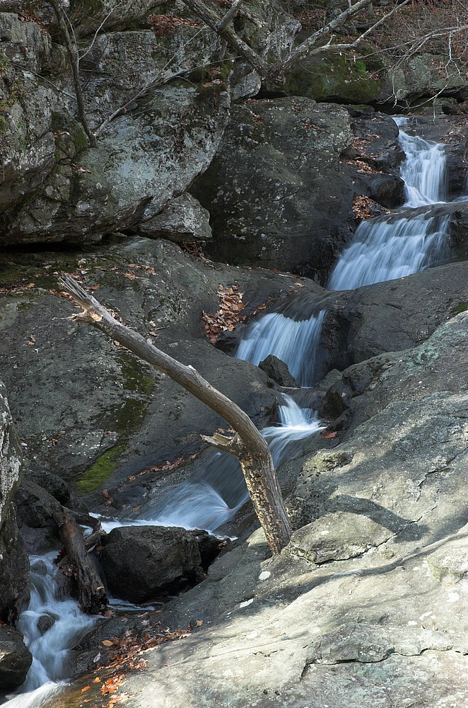DSC_4325.jpg