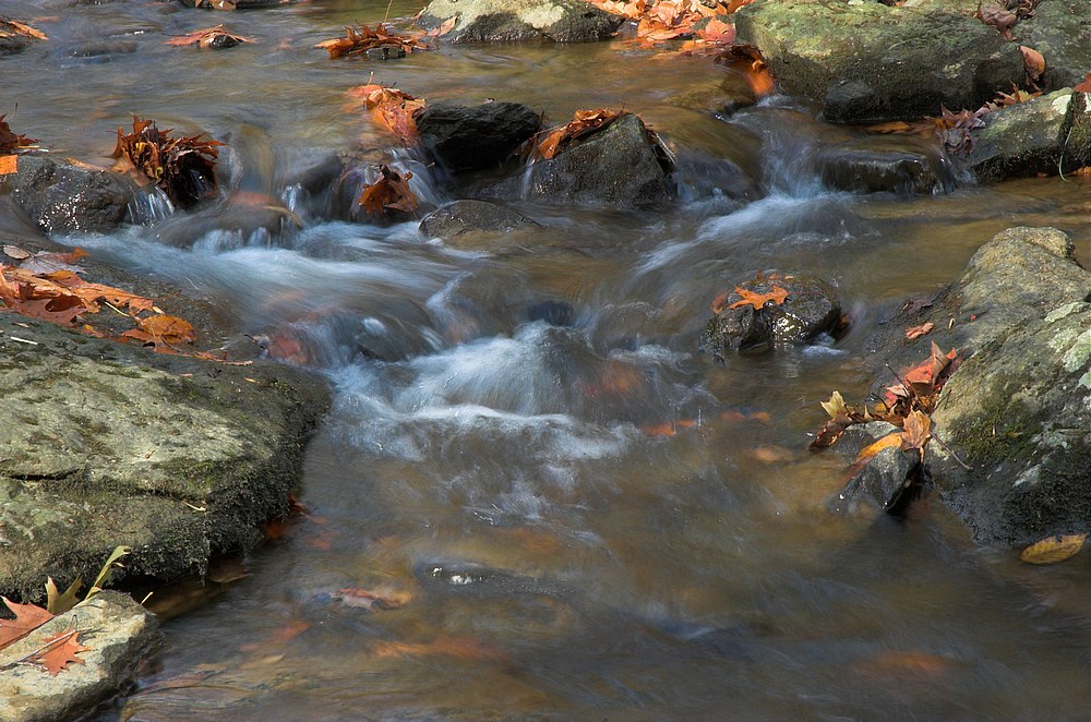 DSC_4352.jpg
