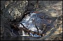 DSC_4258.jpg