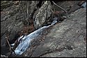 DSC_4270.jpg