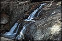 DSC_4287.jpg