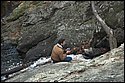 DSC_4294.jpg