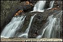 DSC_4301.jpg