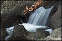 DSC_4305.jpg