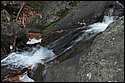DSC_4316.jpg