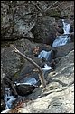 DSC_4325.jpg