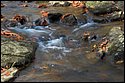 DSC_4352.jpg
