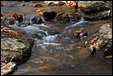 DSC_4353.jpg