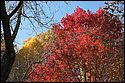 DSC_4415.jpg