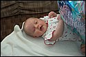DSC_1481.jpg
