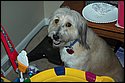 DSC_1507.jpg