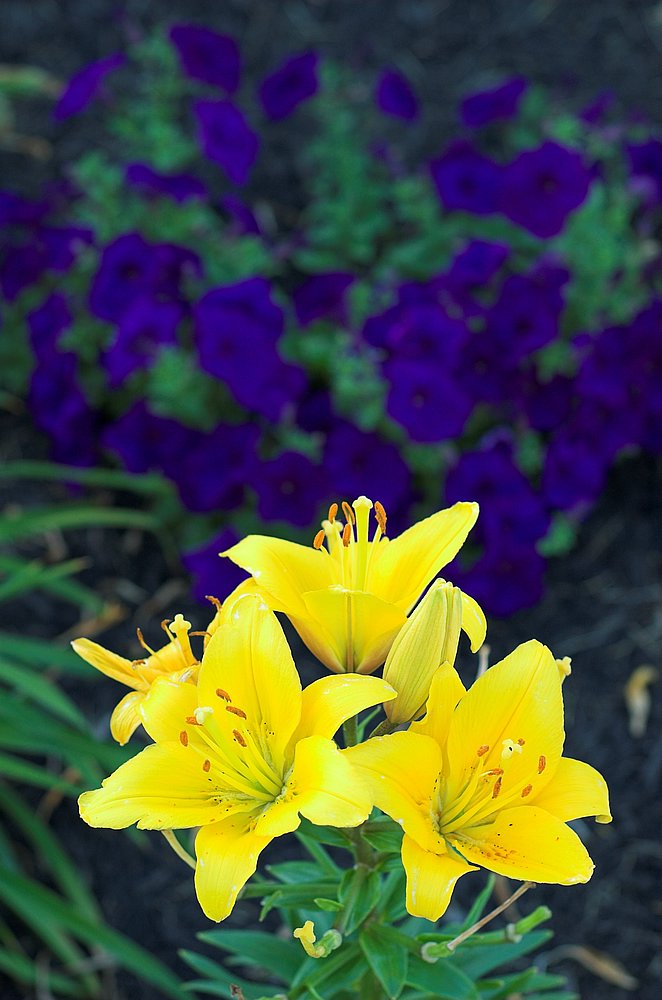 DSC_1570.jpg
