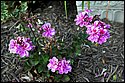 DSC_1568.jpg
