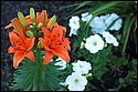 DSC_1571.jpg