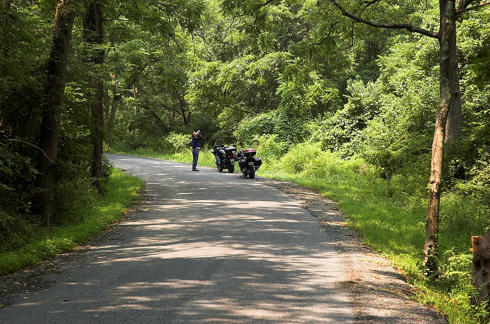 DSC_5616.jpg