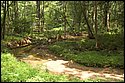 DSC_5614.jpg