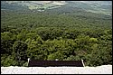 DSC_5620.jpg