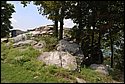 DSC_5623.jpg