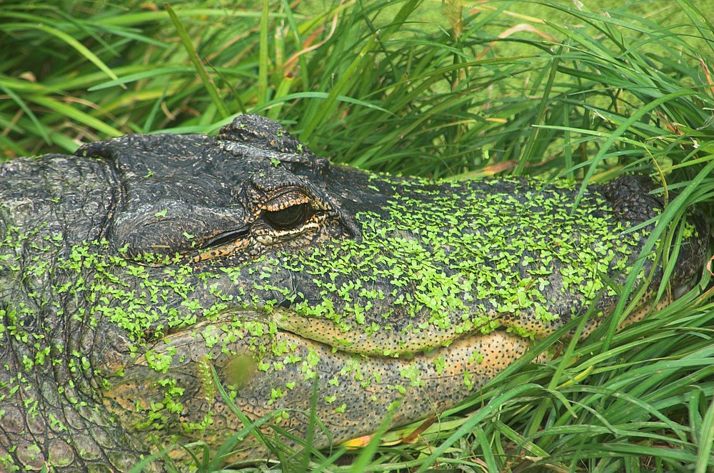 DSC_6835.jpg