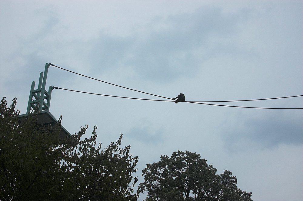 DSC_6843.jpg