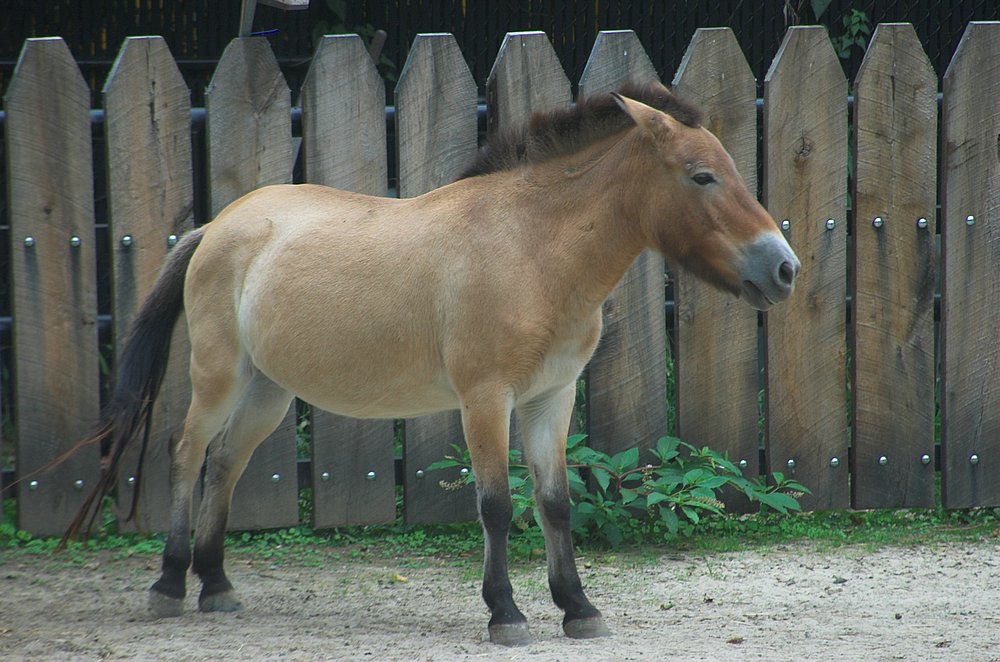 DSC_6852.jpg