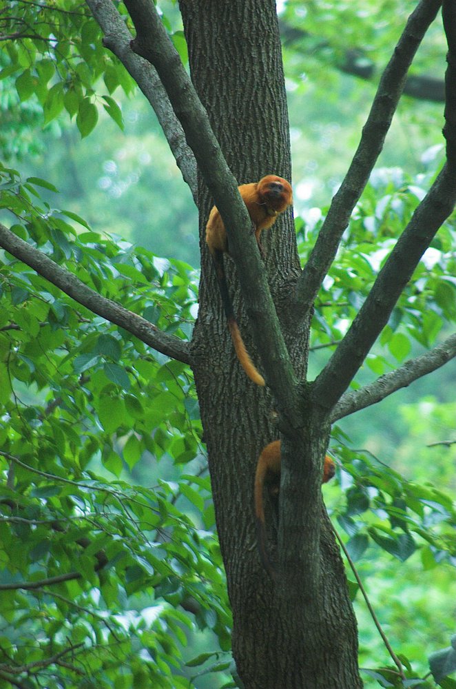 DSC_6859.jpg