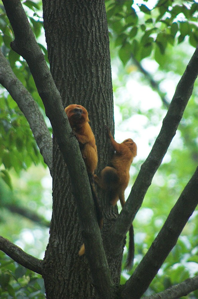 DSC_6860.jpg