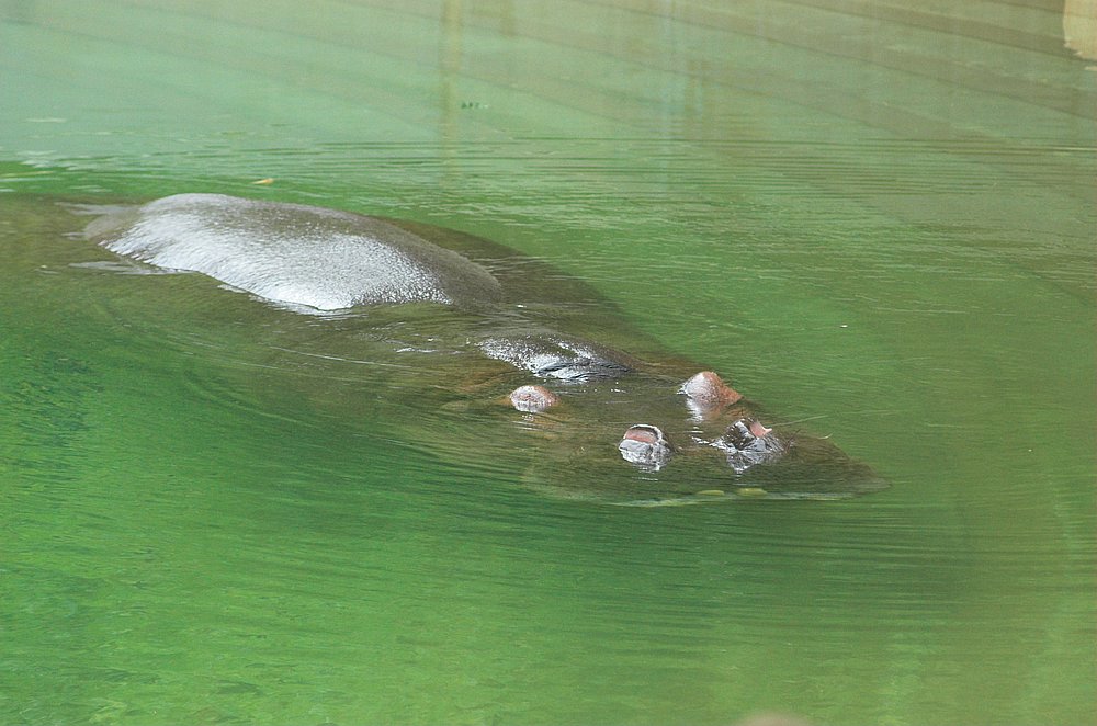 DSC_6868.jpg