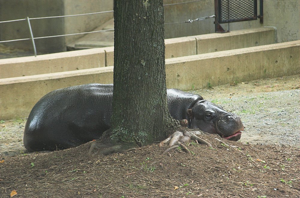 DSC_6878.jpg