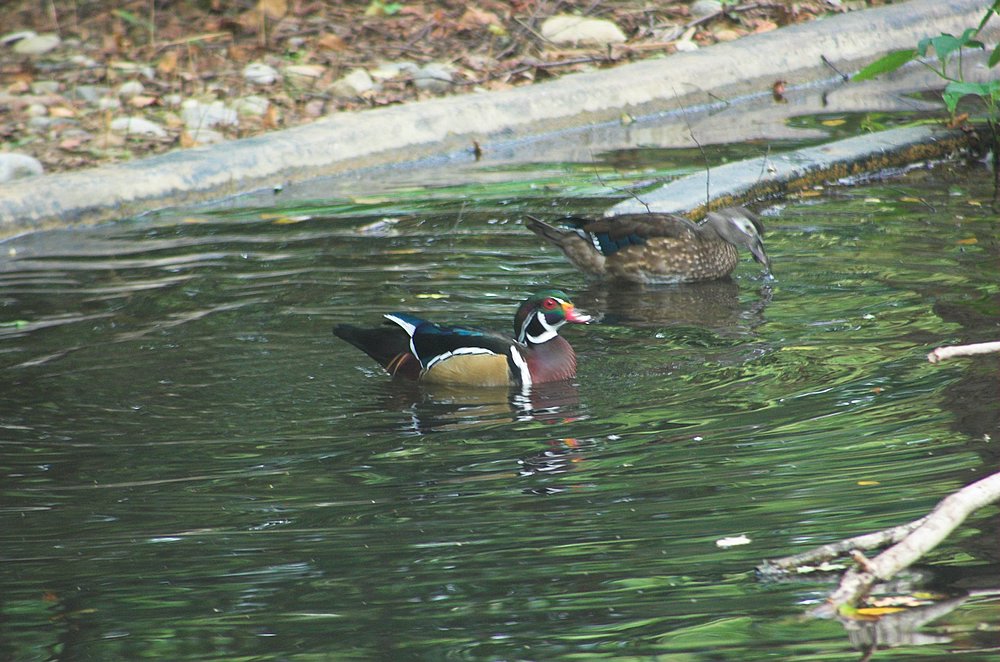 DSC_6885.jpg