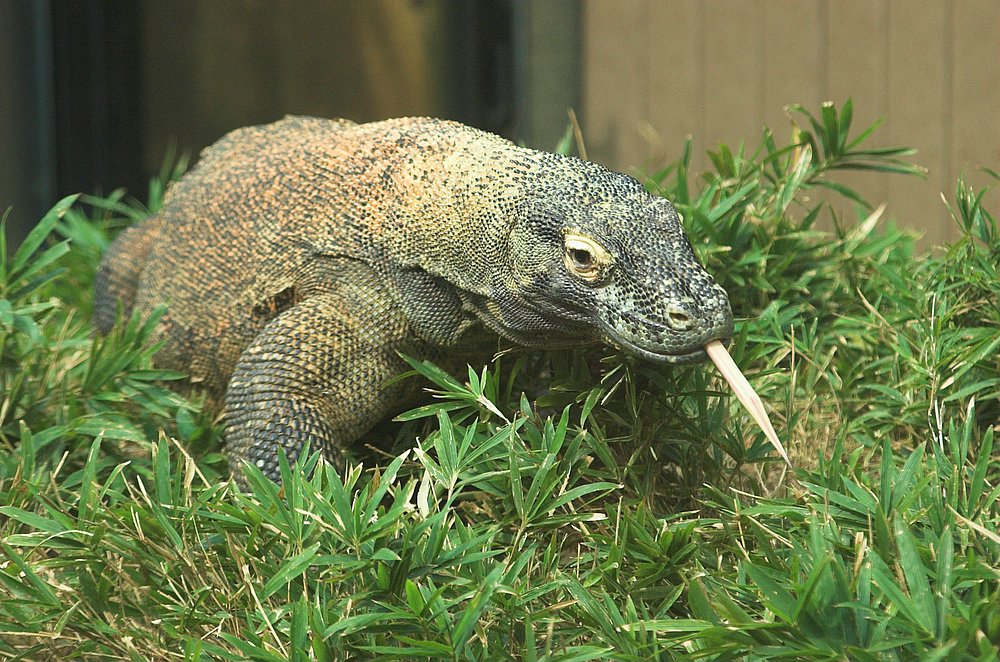 DSC_6904.jpg
