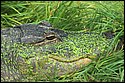DSC_6835.jpg