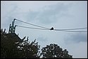 DSC_6843.jpg